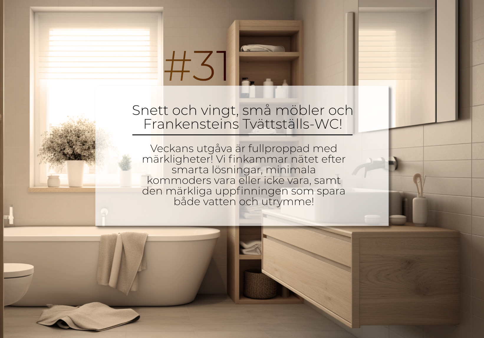 31. Snett och vingt, små möbler och Frankensteins Tvättställs-WC!
