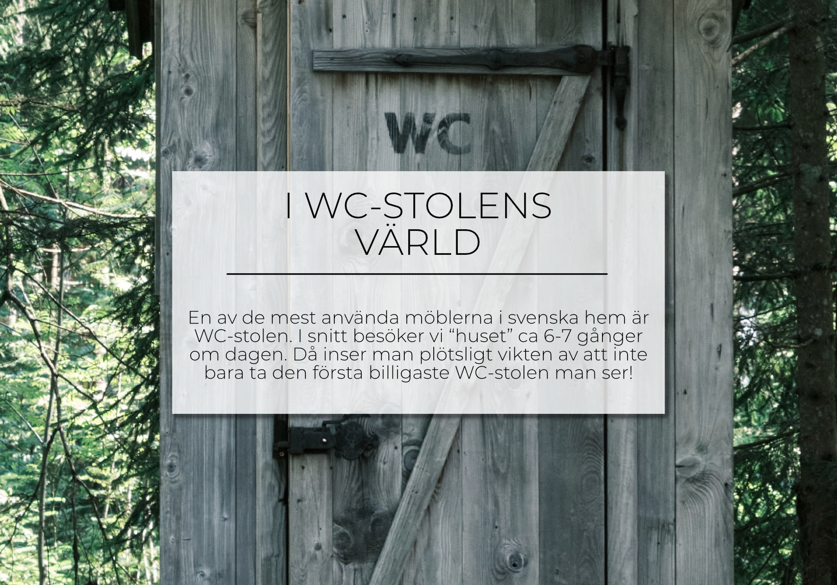 I WC-stolens värld